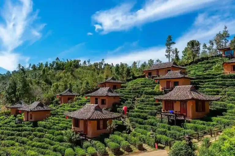 ezgif.com webp maker (66) (1)